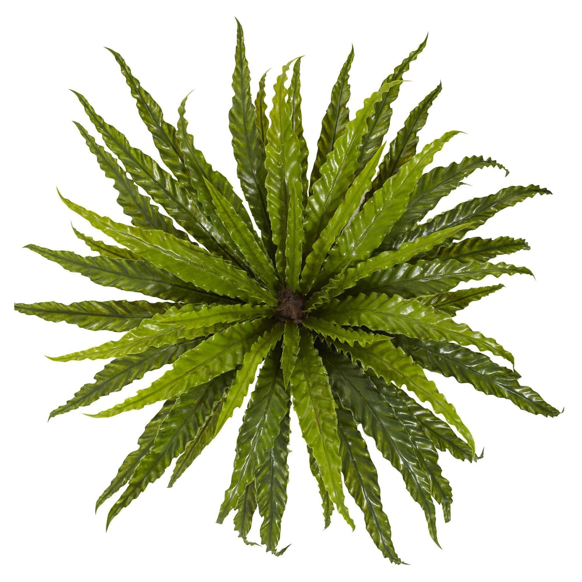 26” Asplenium Artificial Plant (Set of 2)