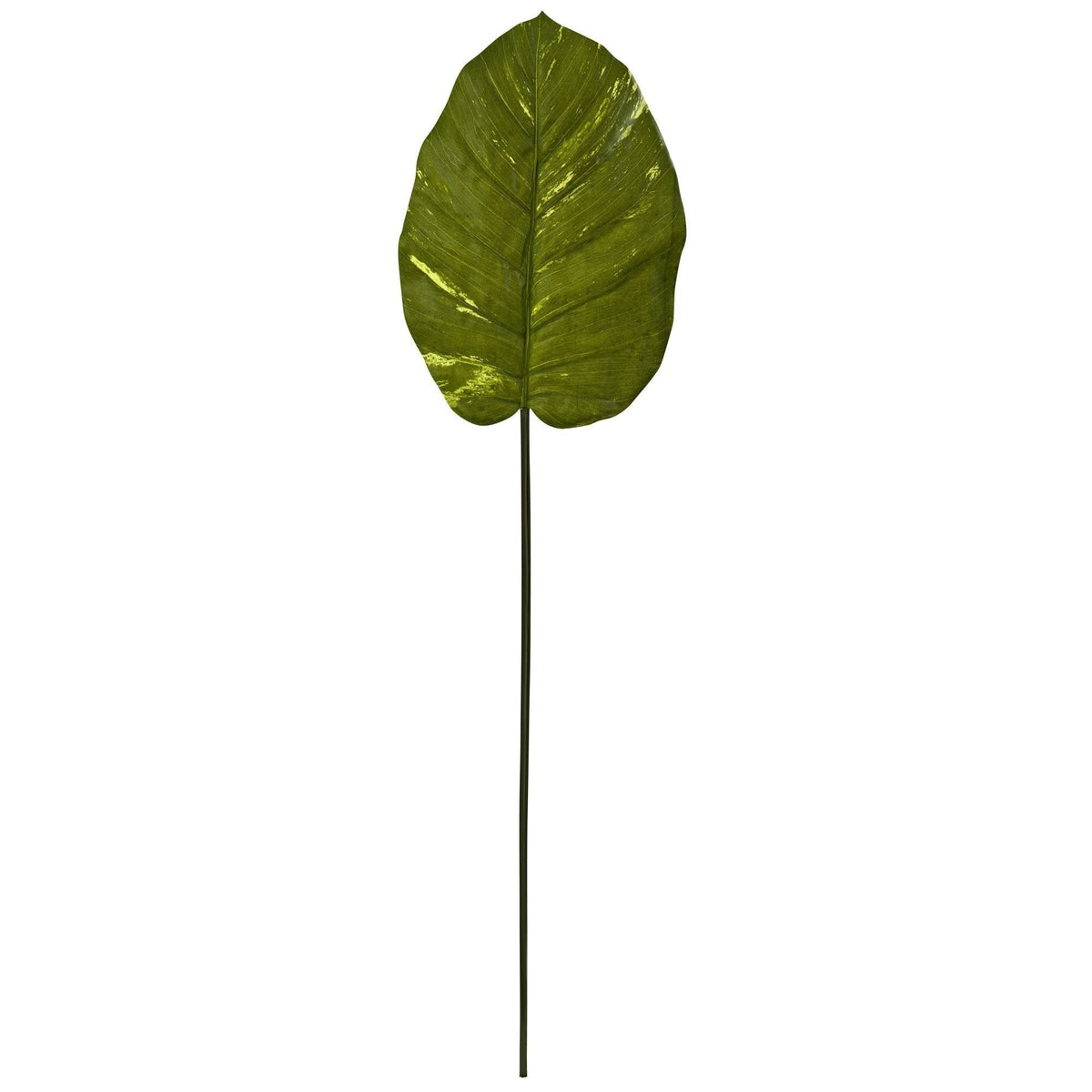 37.5” Giant Artificial Pothos Leaf (Real Touch) (Set of 12)