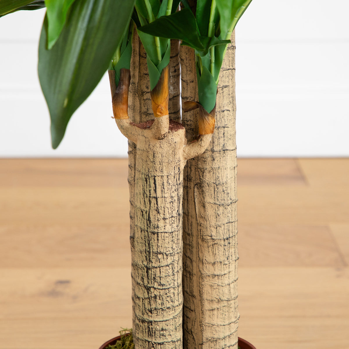 4' Corn Stalk Dracaena Silk Plant (Real Touch)