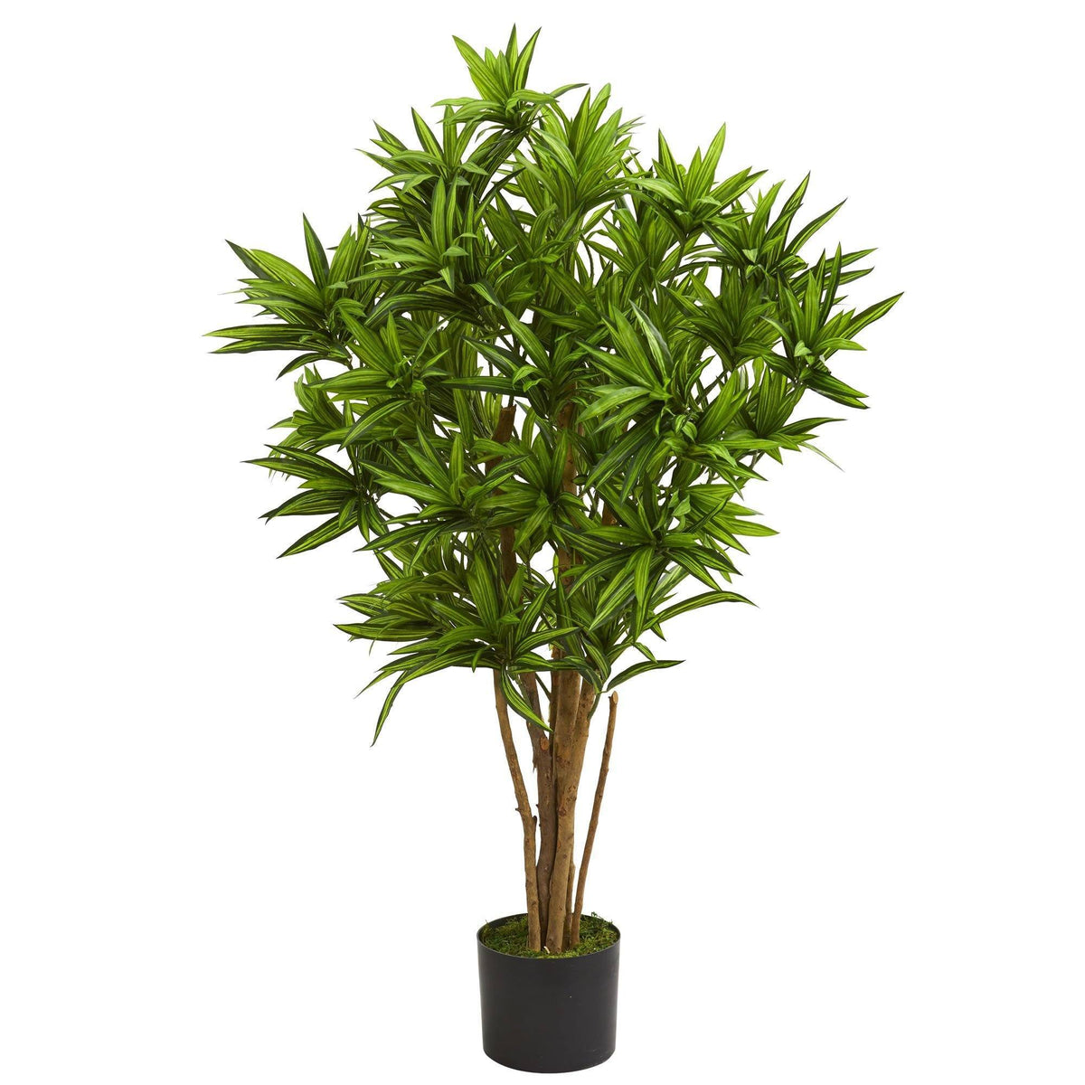 4’ Dracaena Artificial Tree