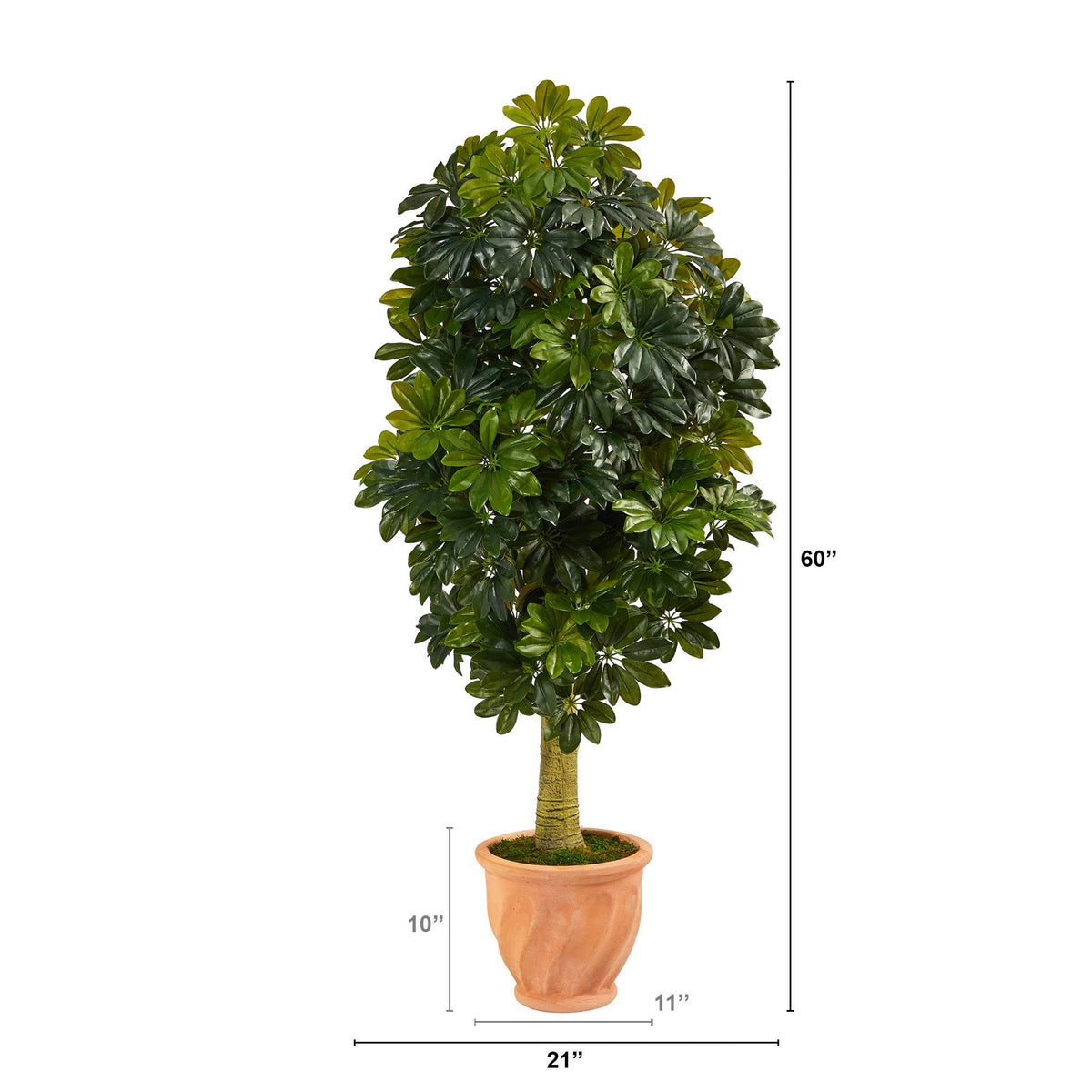 5' Schefflera Artificial Tree in Terra-Cotta Planter (Real Touch)