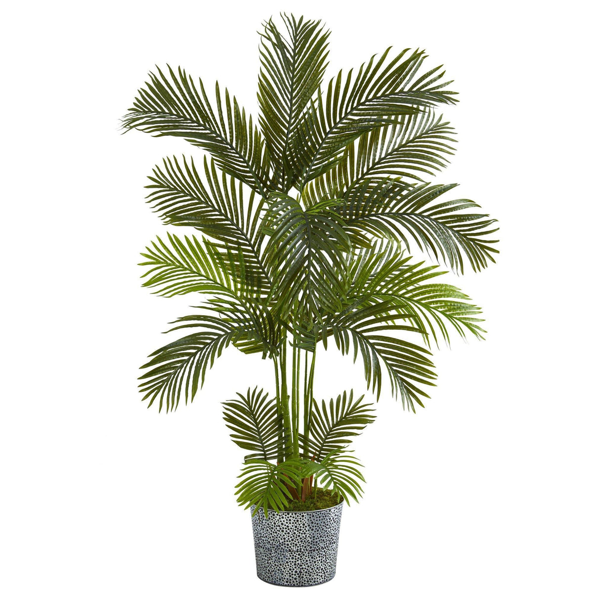 5.5' Areca Palm Artificial Tree in Embossed Black Tin Planter