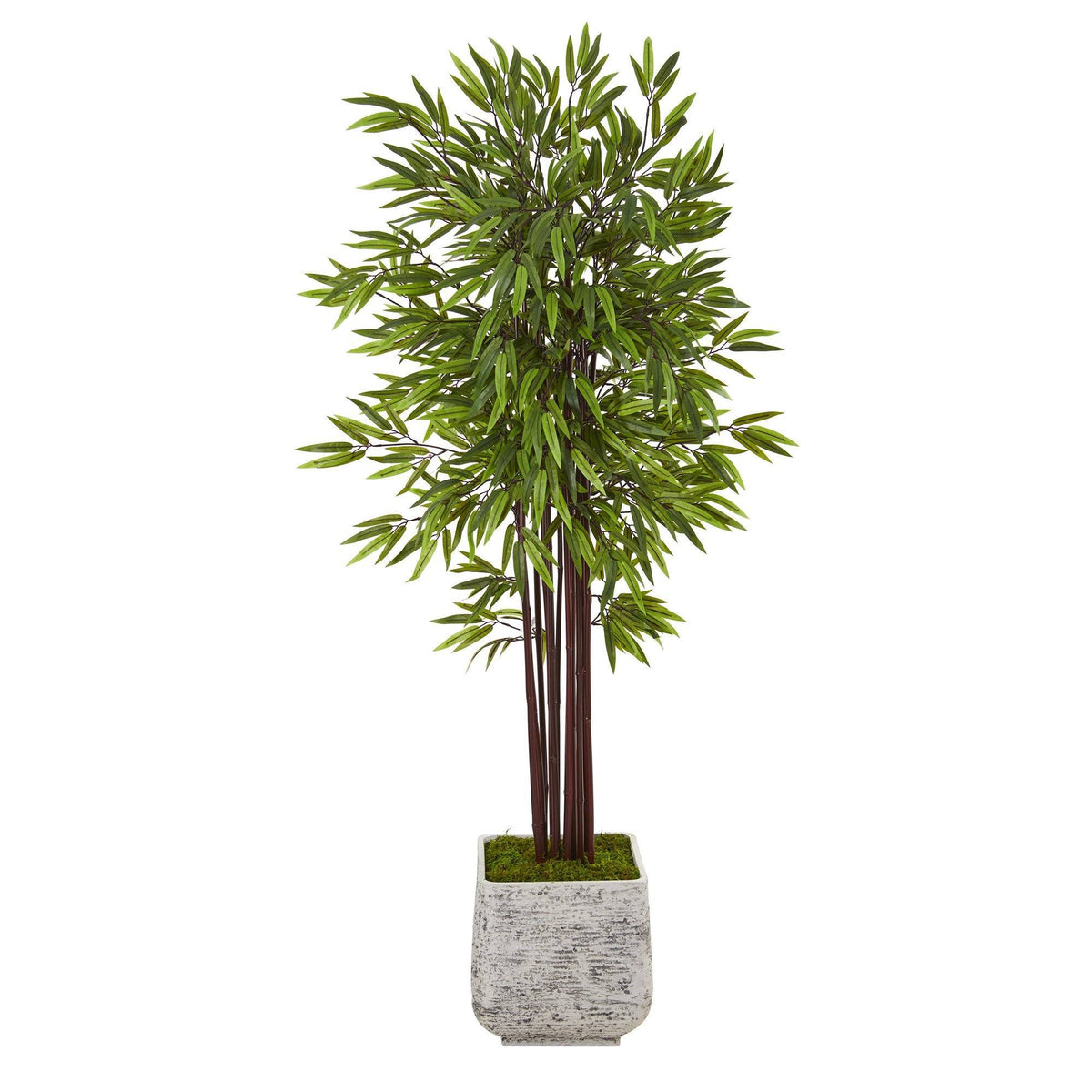 5.5’ Bamboo Artificial Tree in White Planter
