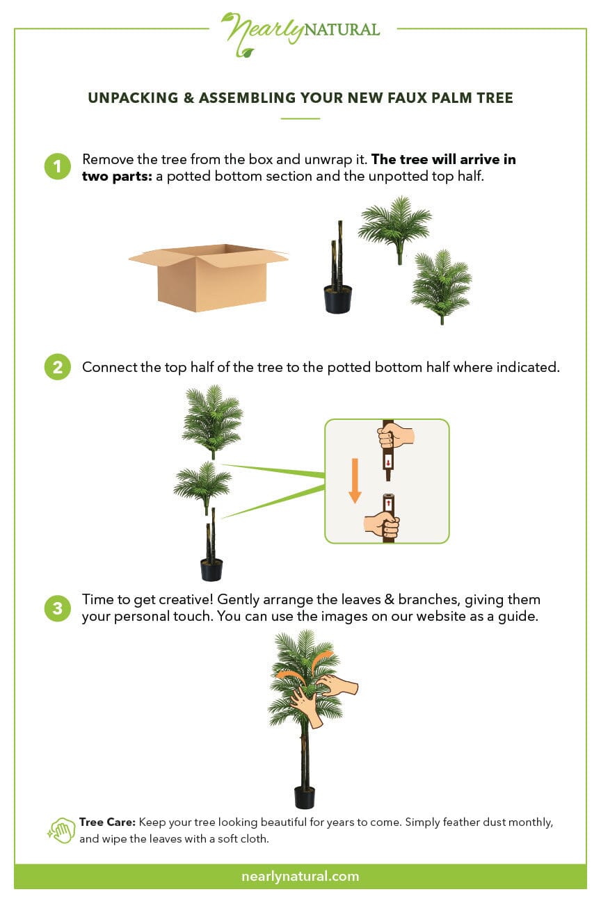 5.5’ Double Robellini Palm Tree UV Resistant (Indoor/Outdoor)