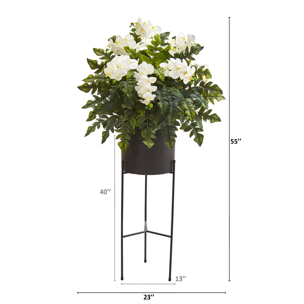 55” Phalaenopsis Orchid, Holly Fern Plant in Black Planter