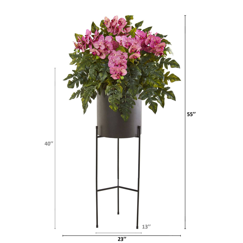 55” Phalaenopsis Orchid, Holly Fern Plant in Black Planter