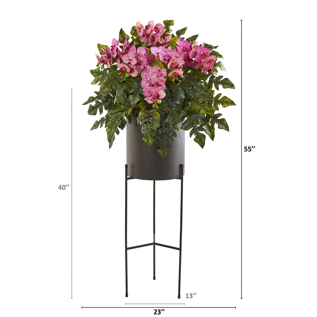 55” Phalaenopsis Orchid, Holly Fern Plant in Black Planter