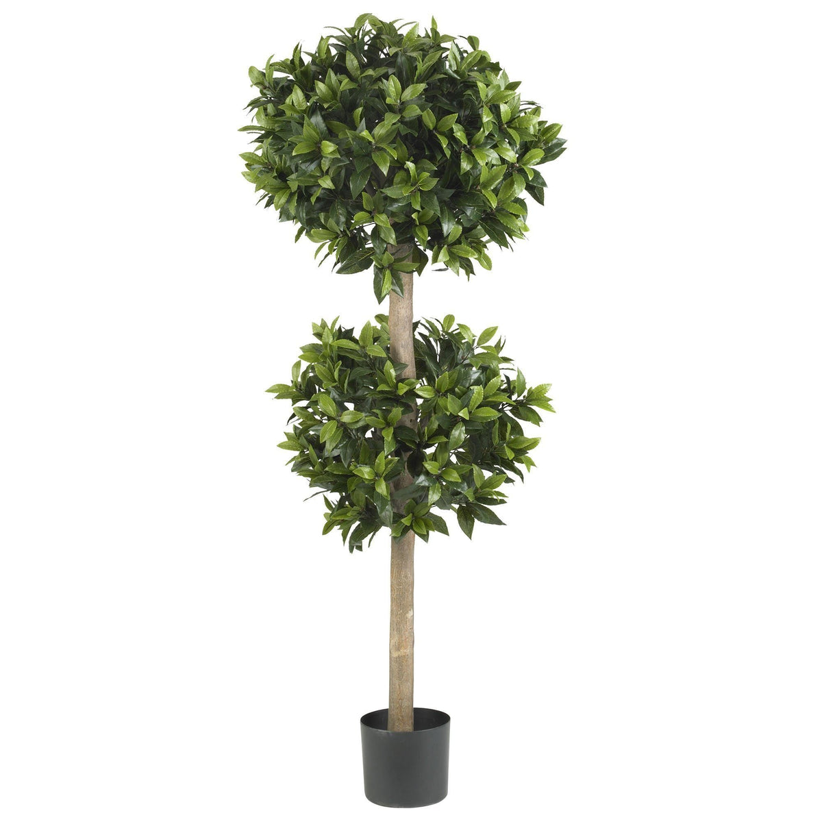 57" Sweet Bay Double Ball Topiary Silk Tree"