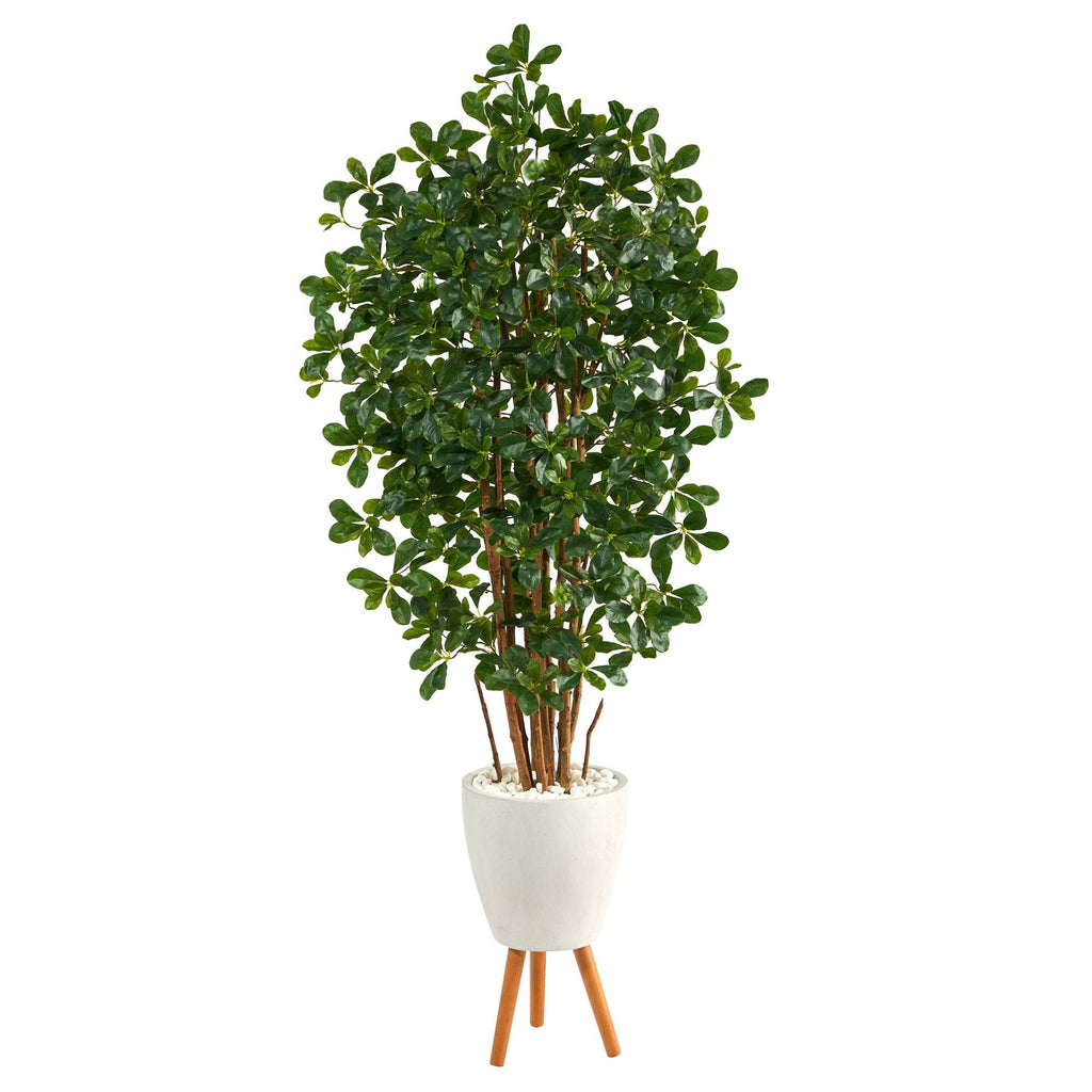 6’ Black Olive Artificial Tree in White Planter with Stand