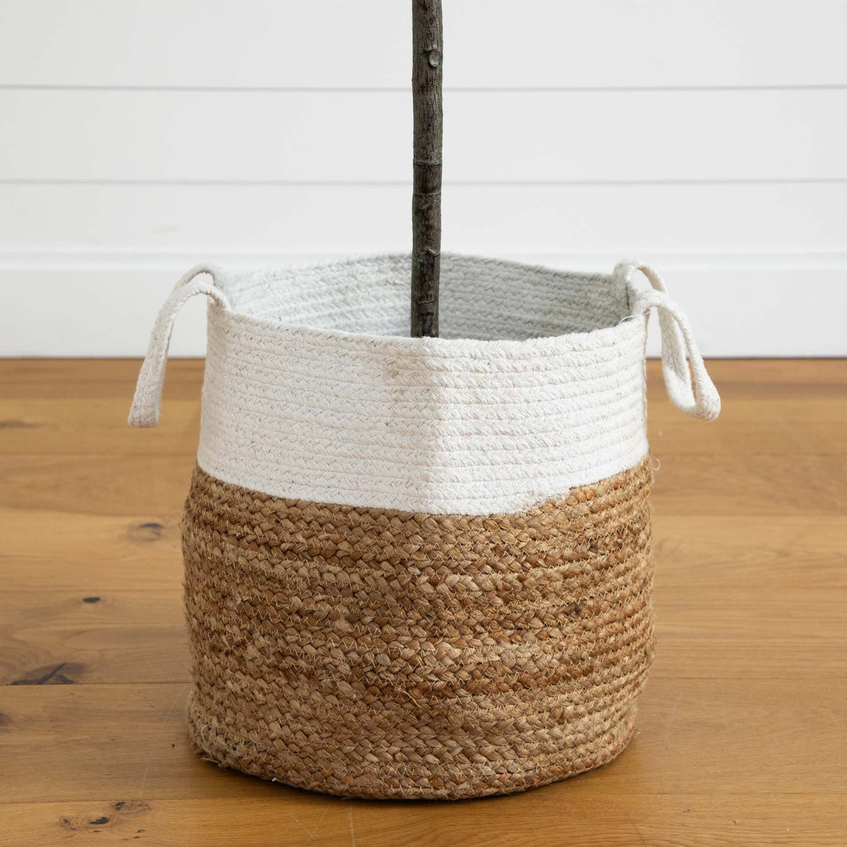 6’ Fiddle Leaf Fig Artificial Tree in Handmade Natural Jute and Cotton Planter