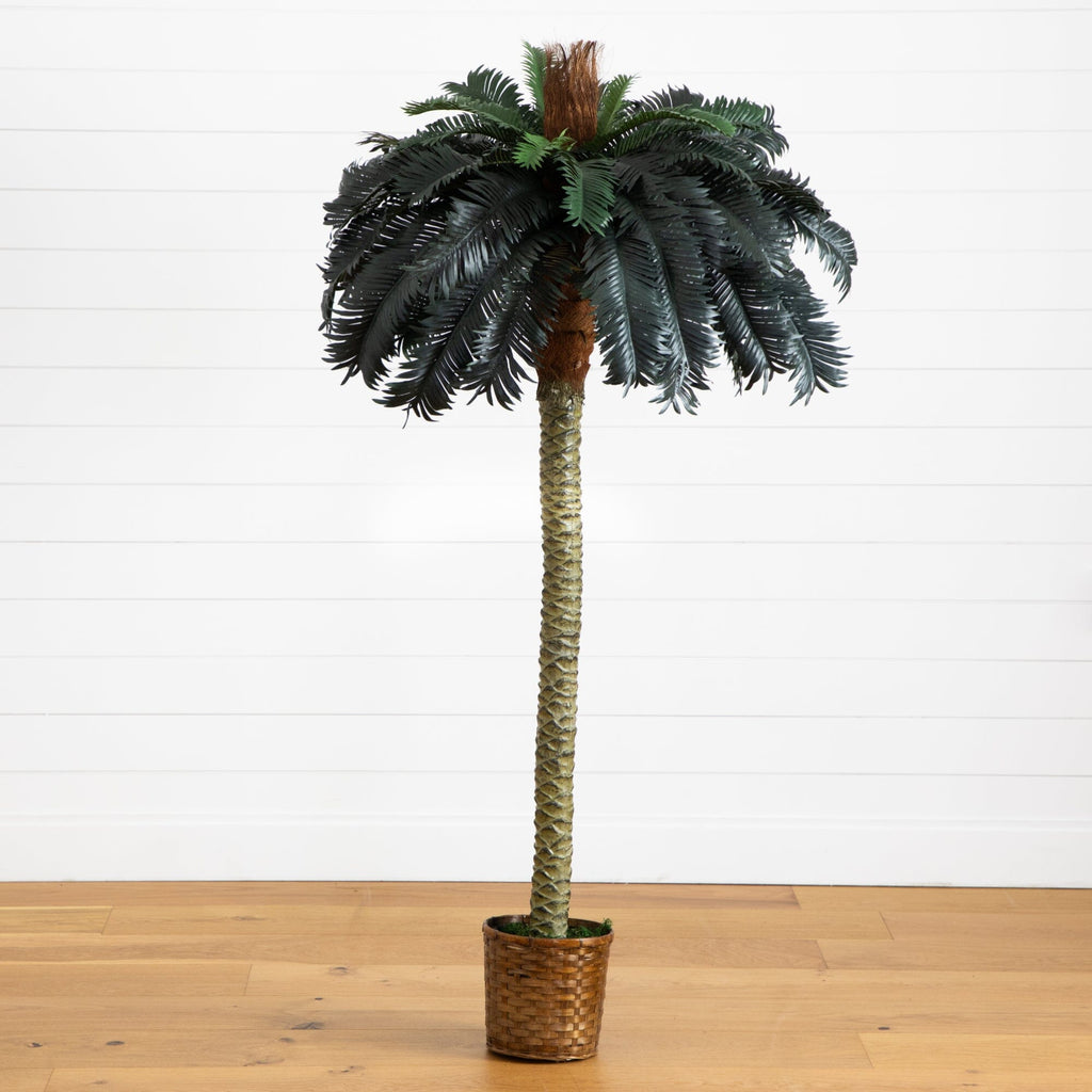 6' Sago Palm Silk Tree