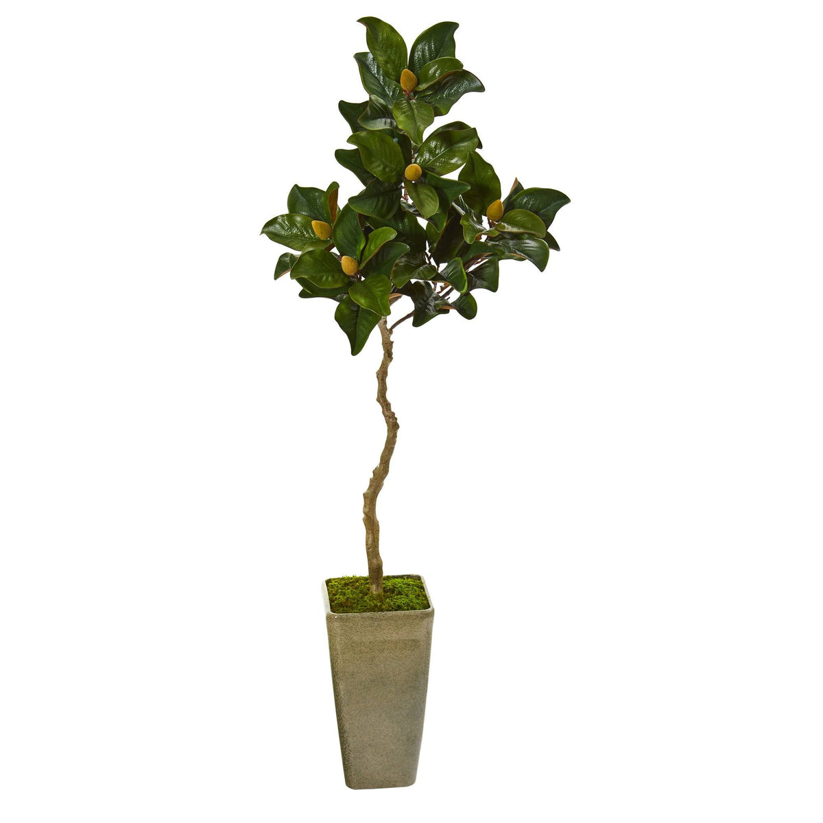 63” Magnolia Artificial Tree in Green Planter