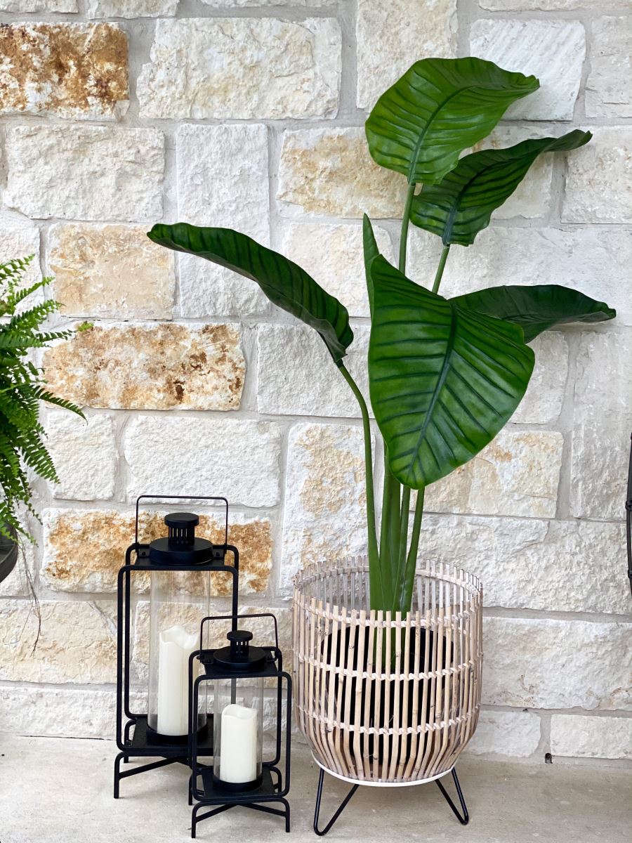 64” Traveler's Palm Tree UV Resistant (Indoor/Outdoor)