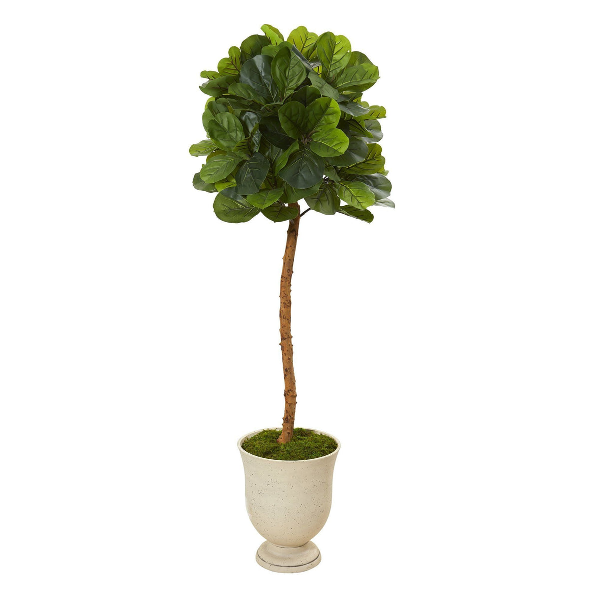 65” Fiddle Leaf Artificial Tree in Decorative Urn (Real Touch)