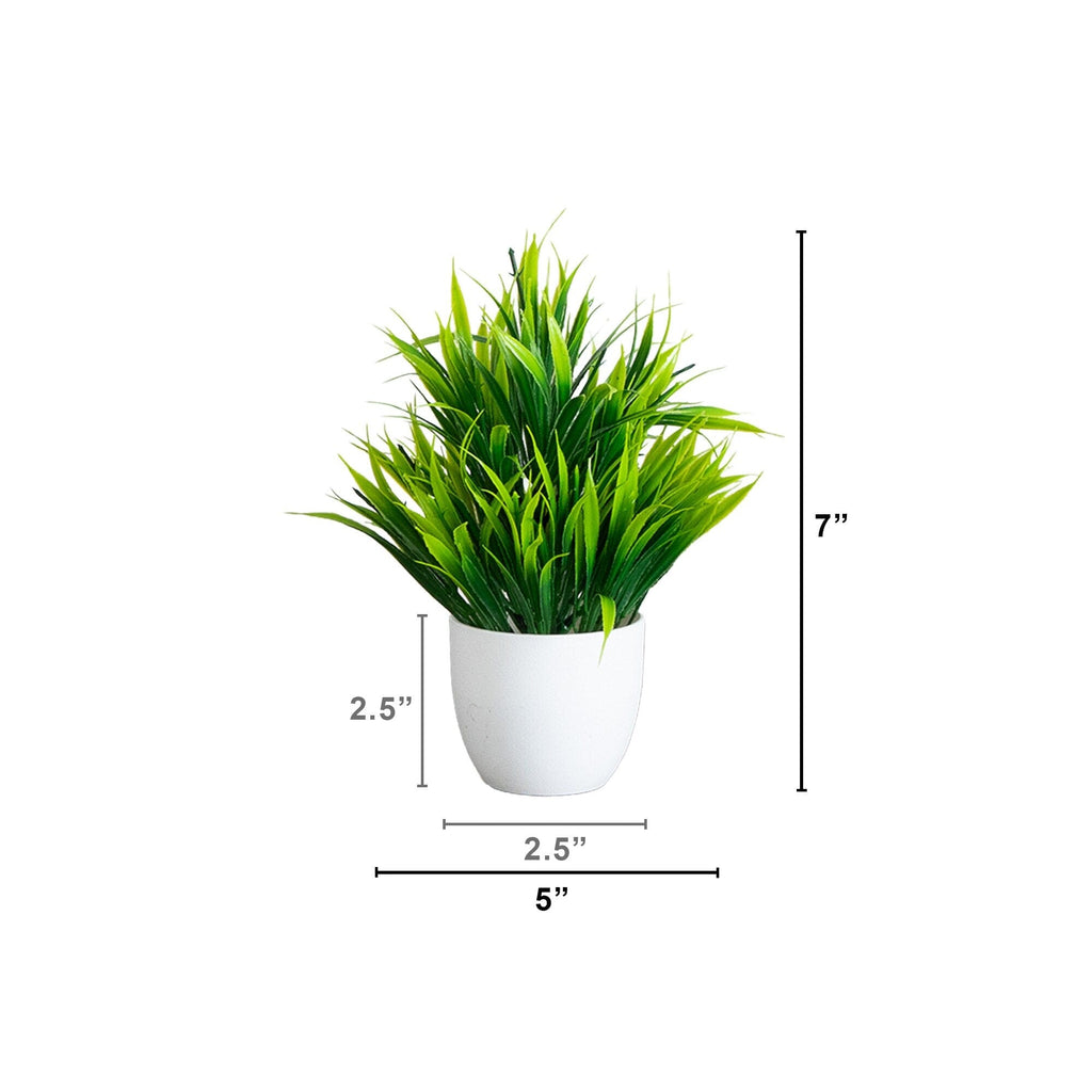 7” Artificial Mixed Evergreen Plant in White Round Pot - Set of 3