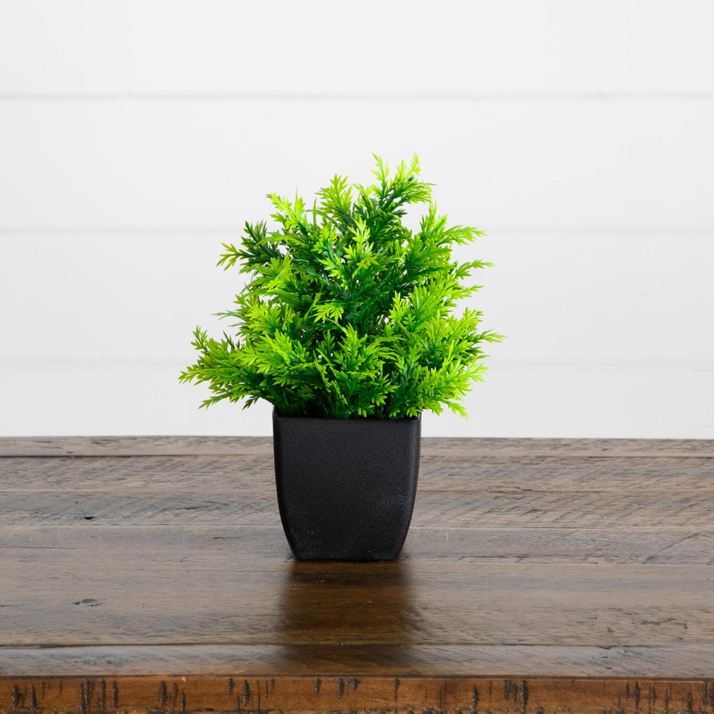 7” Artificial Mixed Topiary Plant in Black Square Pot - Set of 4