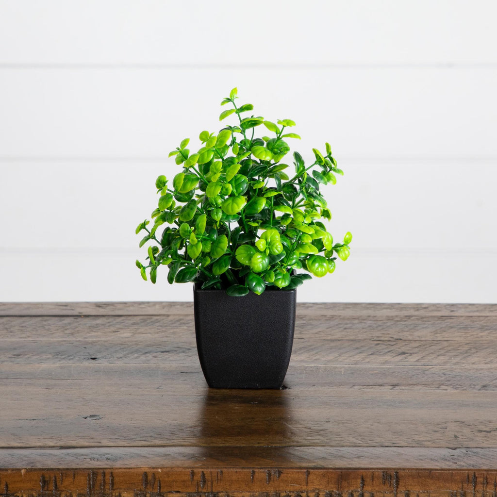7” Artificial Mixed Topiary Plant in Black Square Pot - Set of 4