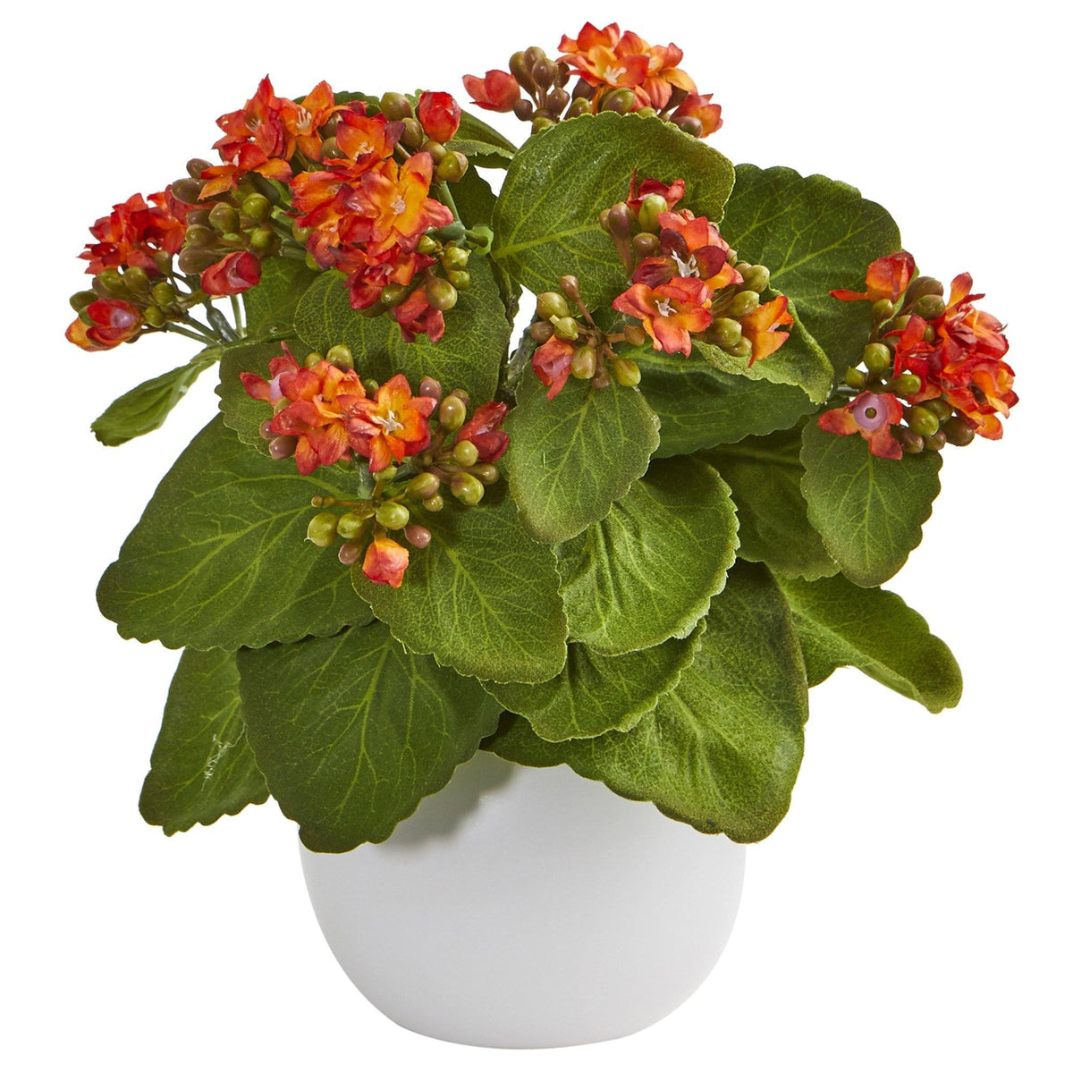 8” Kalanchoe Artificial Plant in White Vase (Set of 3)