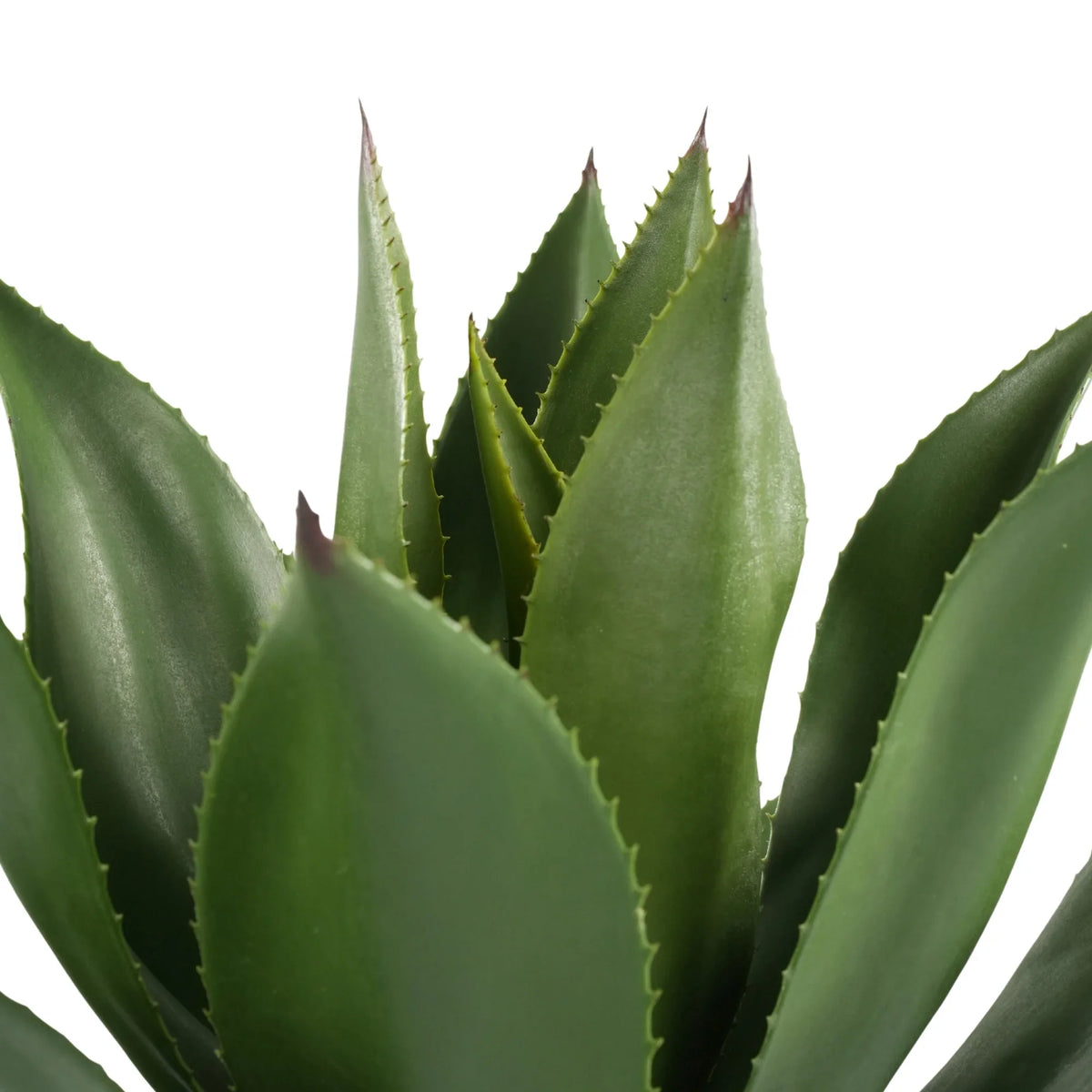 Agave Artificial Tree 21.7in – UV Resistant