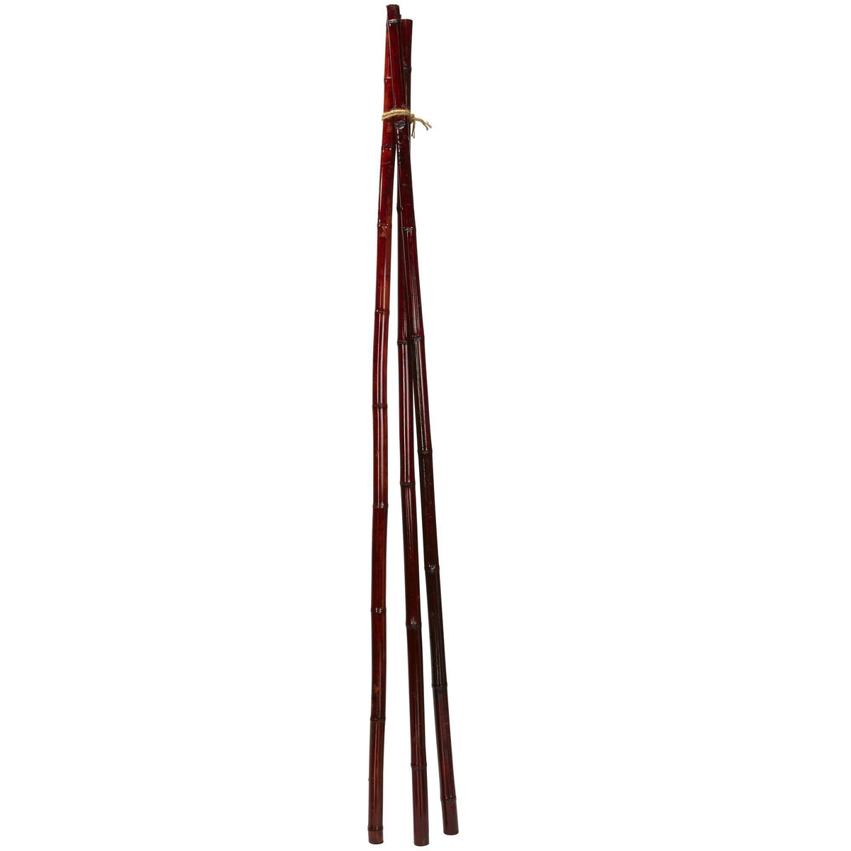 Bamboo Poles (Set of 12)