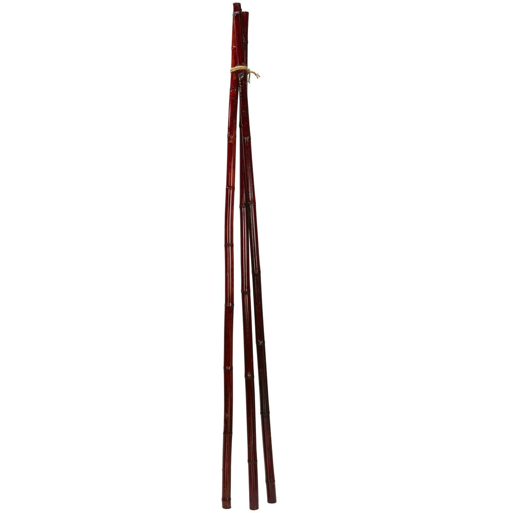 Bamboo Poles (Set of 6)