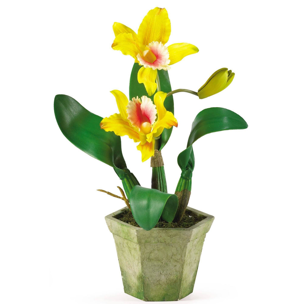 Cattelya Orchid w/Vase (Set of 3)