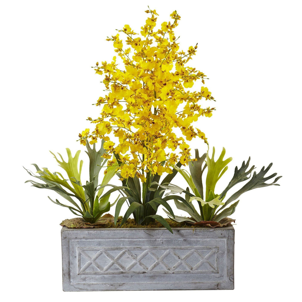 Dancing Lady and Staghorn in Stone Planter