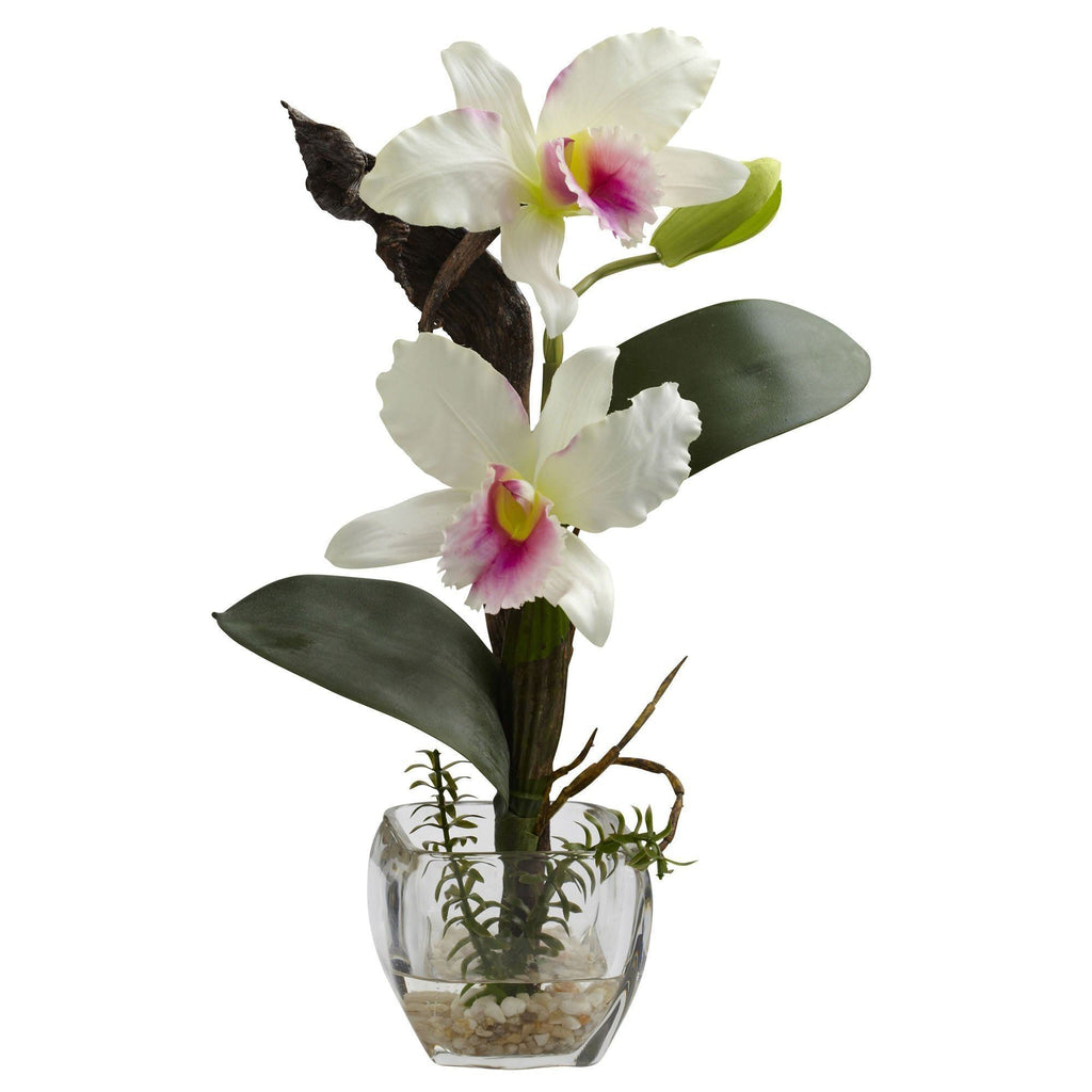 Mini Cattleya Orchid Arrangement (Set of 3)