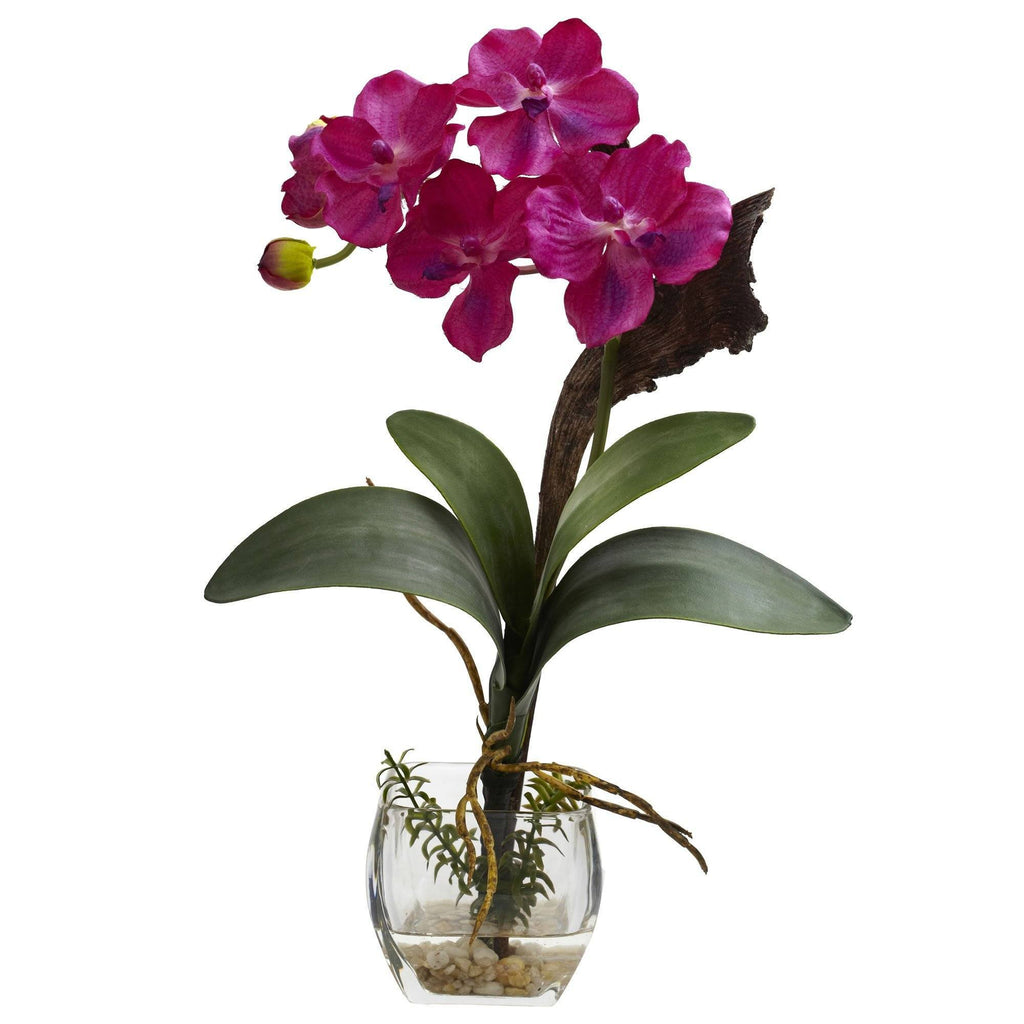Mini Vanda Orchid Arrangement (Set of 3)