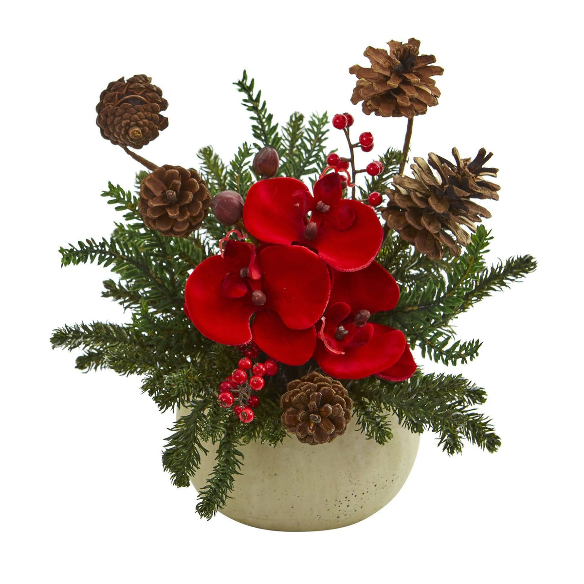 Orchid, Berries and Pine Arrangement