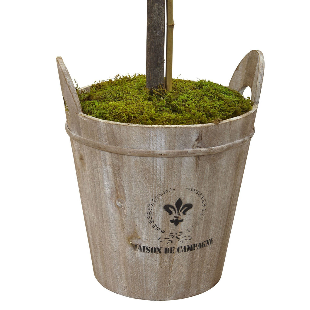 Rose Topiary with Farmhouse Planter