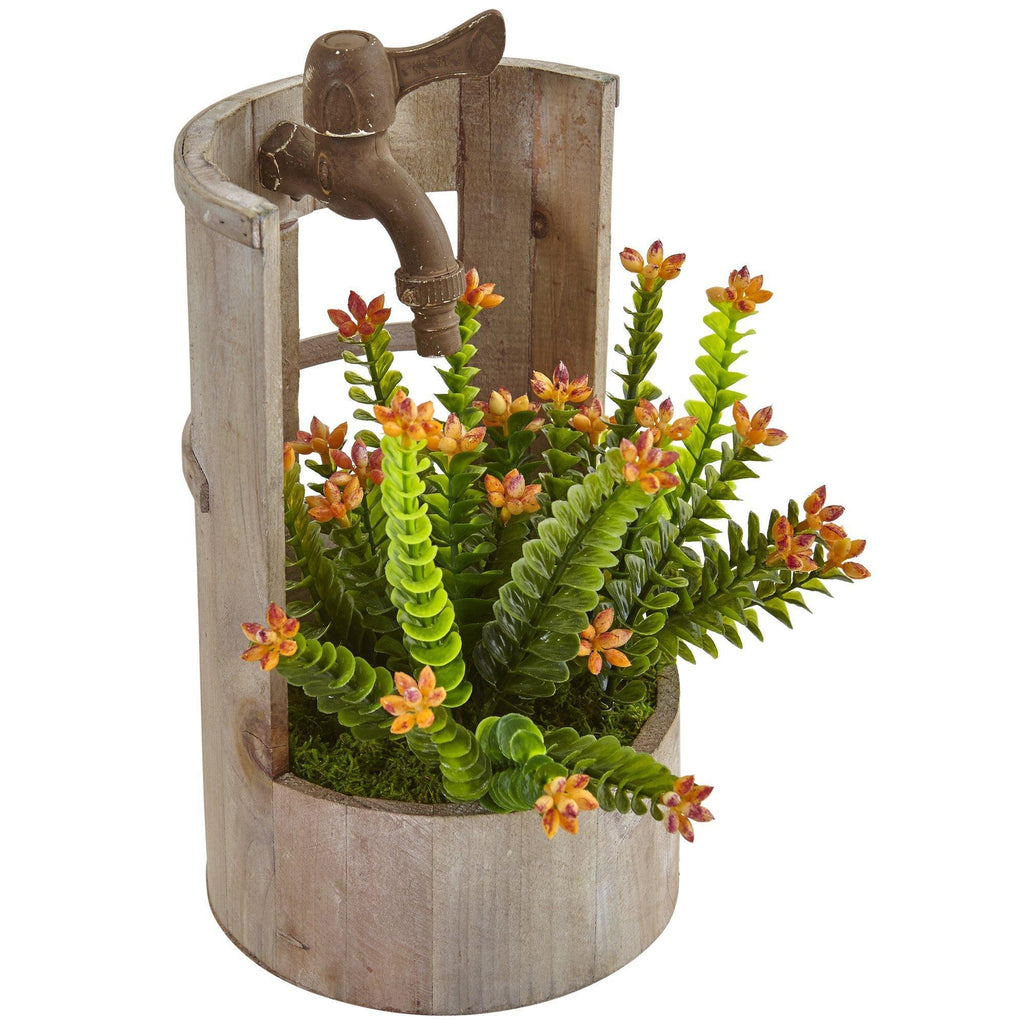 Sedum in Garden Planter
