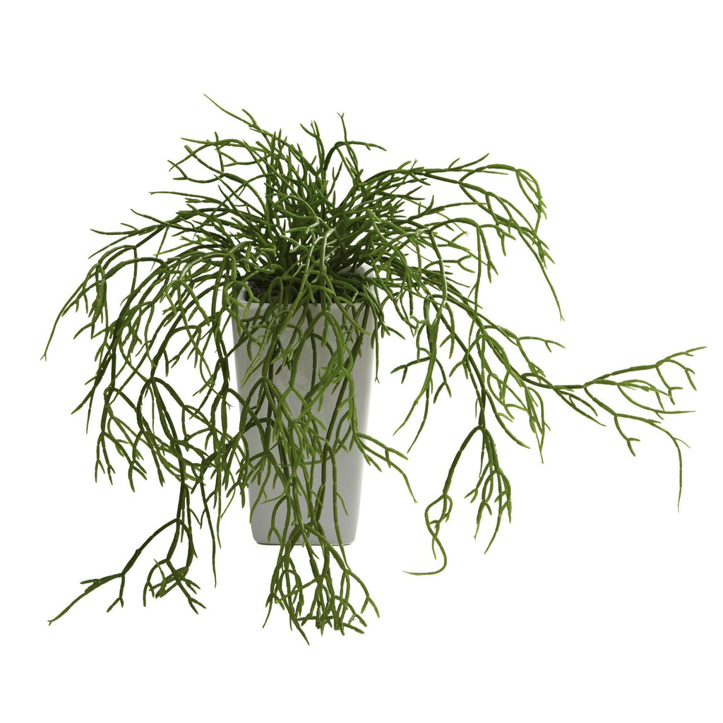 Wild Grass w/White Vase (Set of 3)