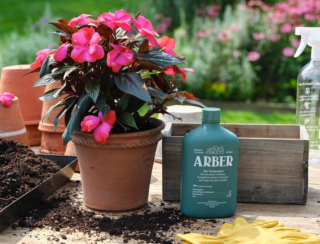Organic Bio Protectant - House Plant Shop