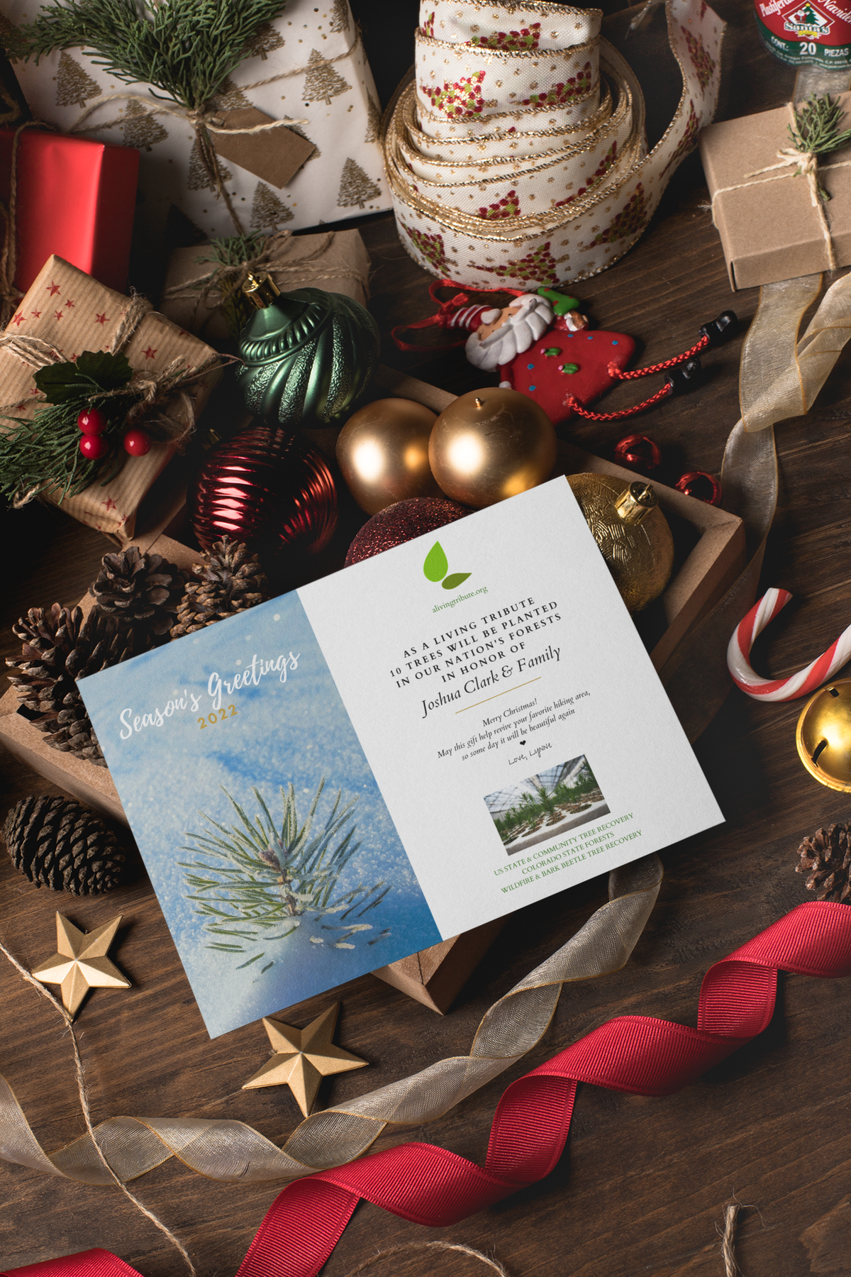 Plant a Tree Holiday Card 2026