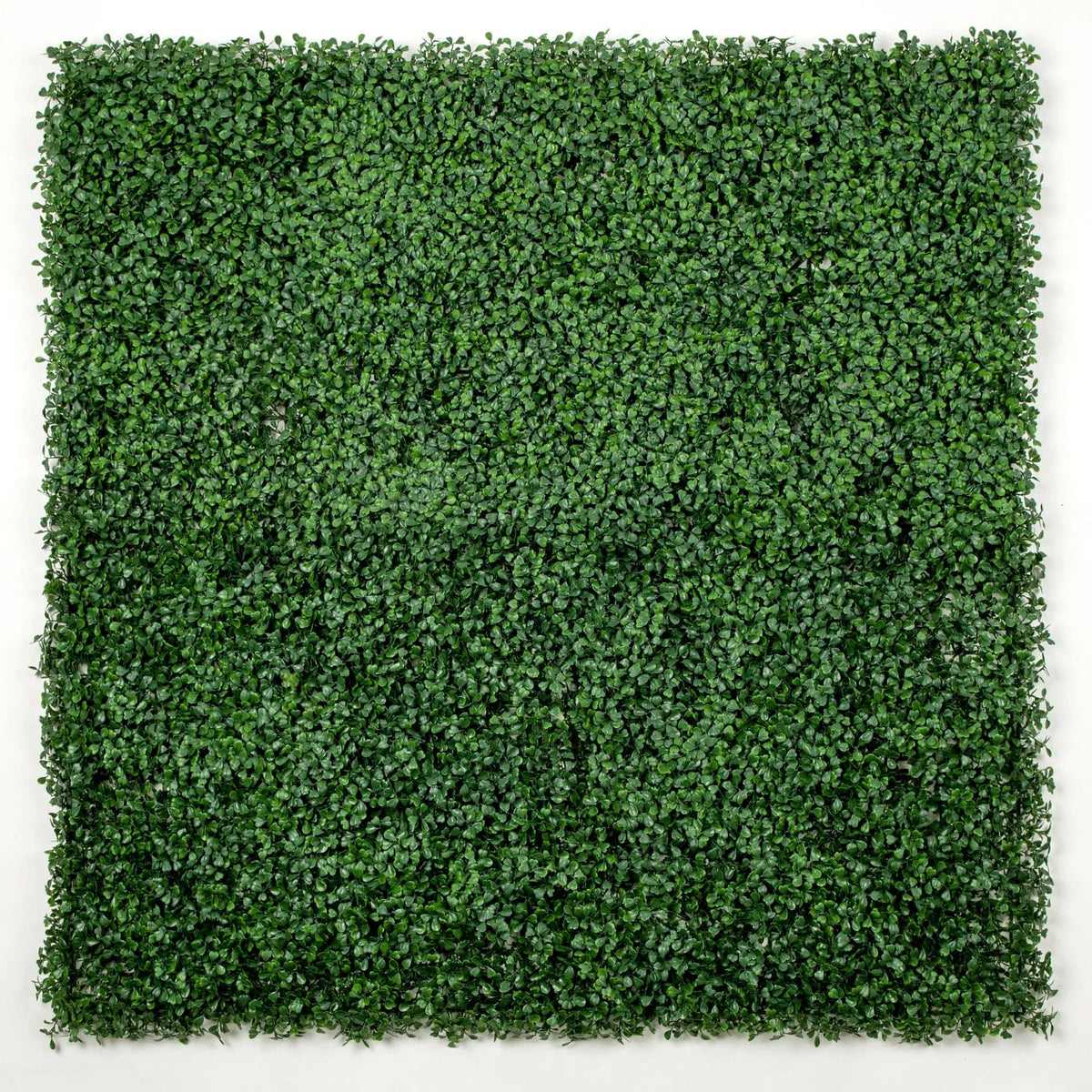 Dark Boxwood Artificial Vertical Garden Green Wall Panel 40×40in 11 SQ FT – UV Resistant – Commercial Grade