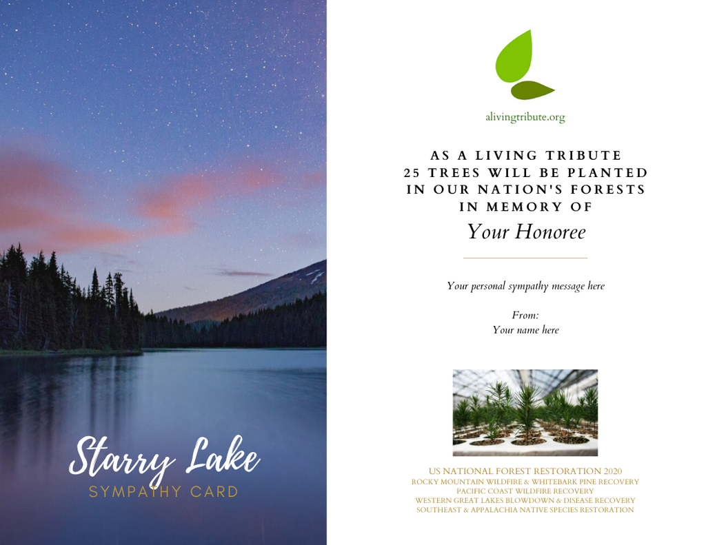 Send a Reforestation Sympathy Card - A Living Tribute®