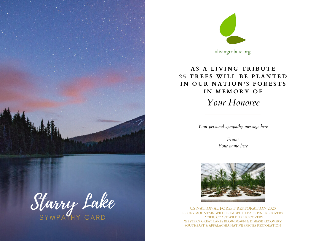 Send a Reforestation Sympathy Card - A Living Tribute®