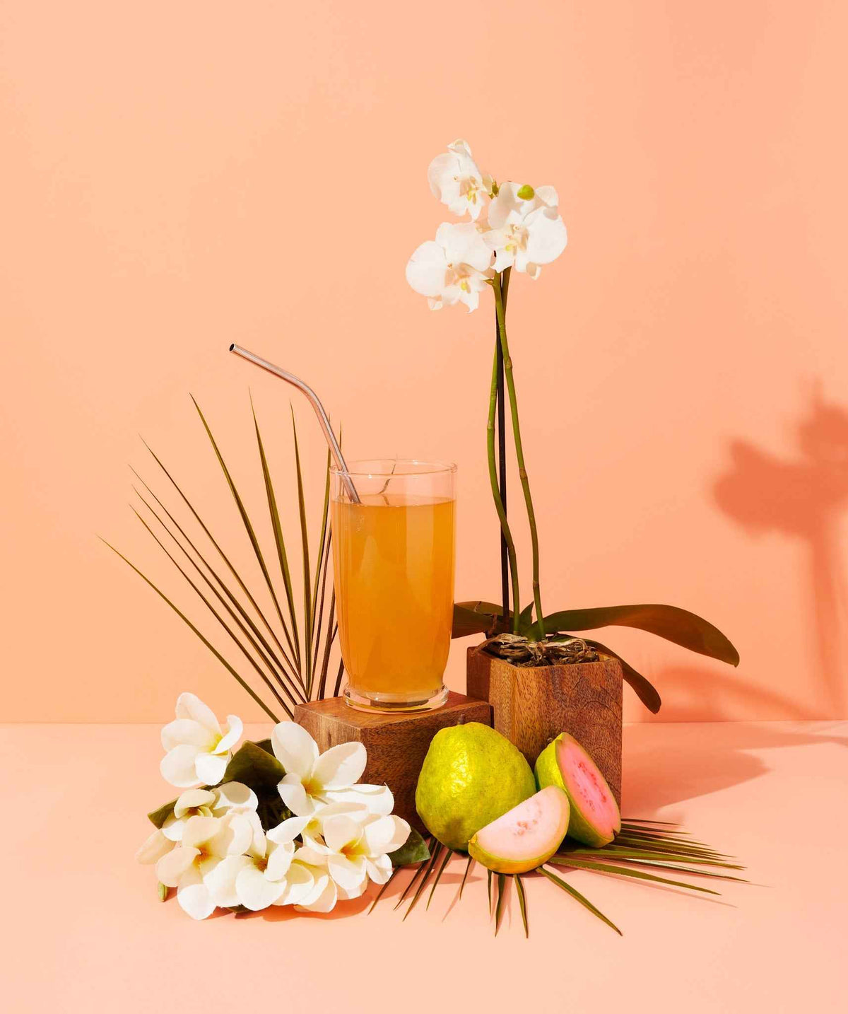 kombucha & pink guava™ fragrance oil