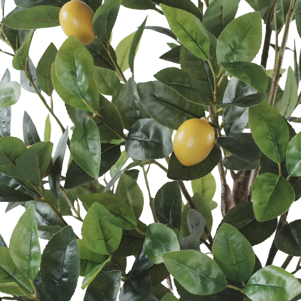 Lemon Artificial Tree 63.0in