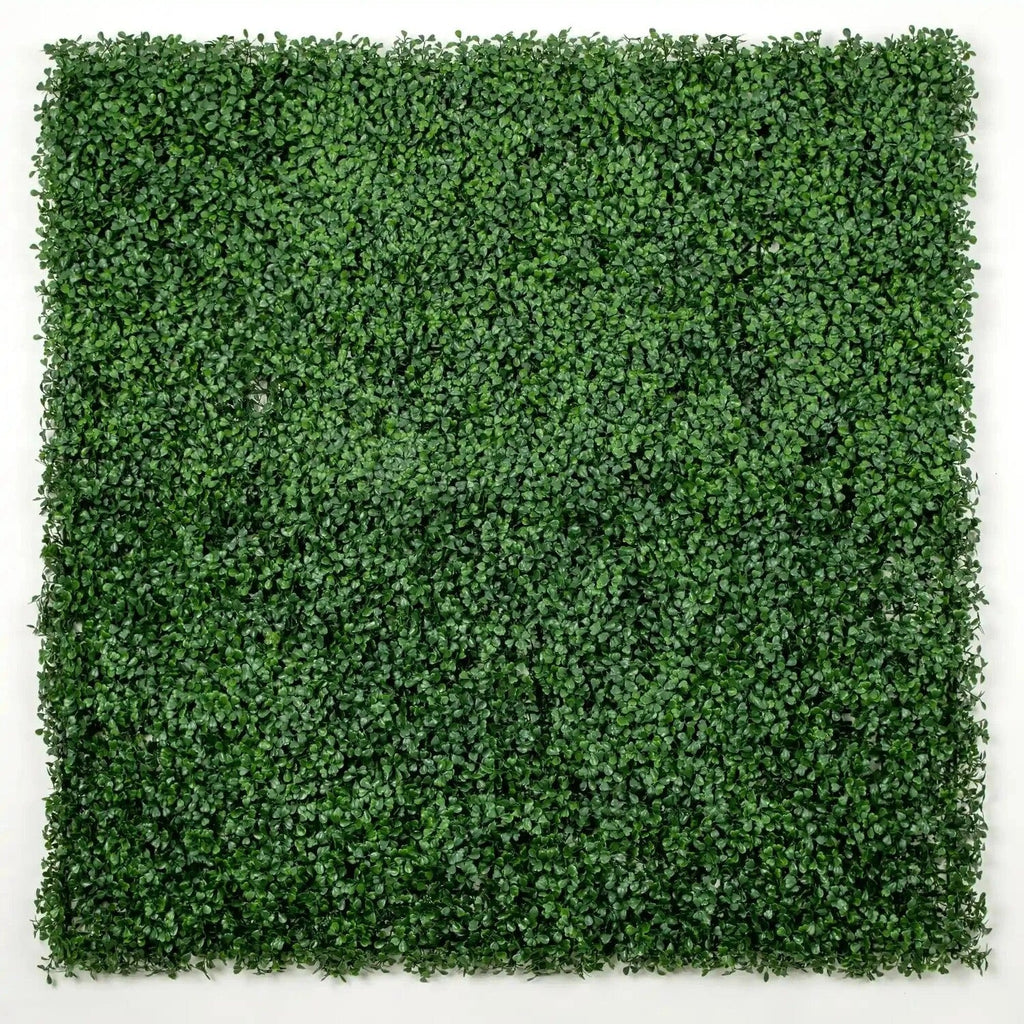 Sample Panel – Dark Boxwood Green Wall (Small Sample)