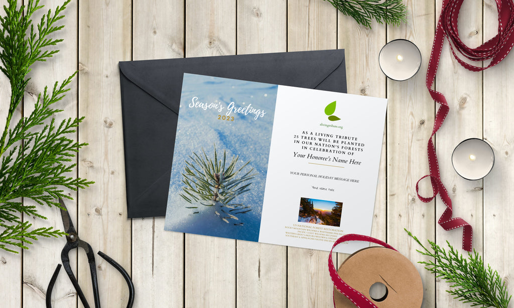 Plant a Tree Holiday Card 2026
