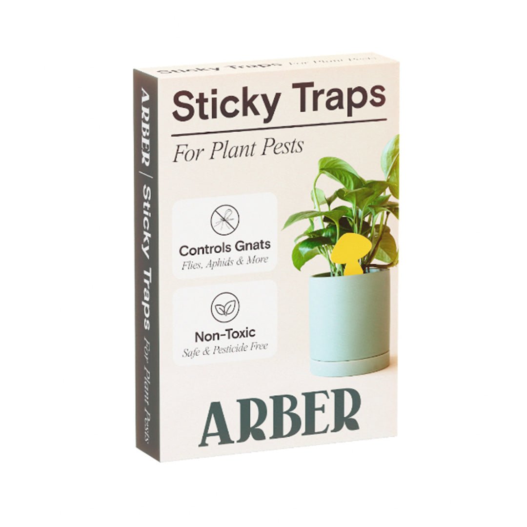 Sticky Traps for Plant Pests - House Plant Shop